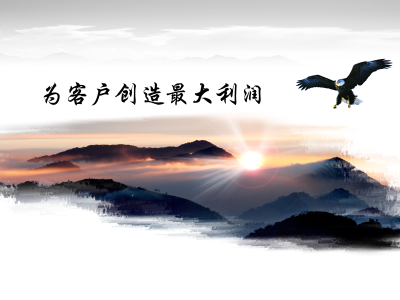 公司简介